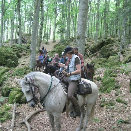 Case Vacanze, Agriturismo Ridolla Premilcuore