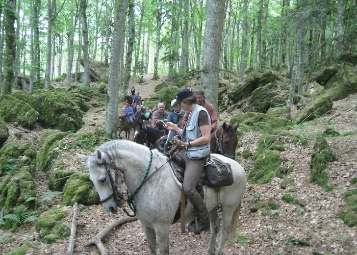 Case Vacanze, Agriturismo Ridolla Premilcuore